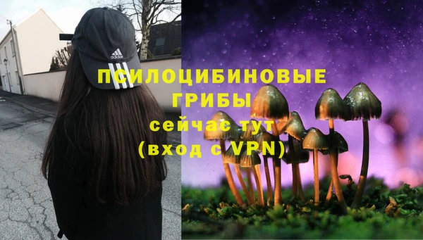 jwh Белокуриха